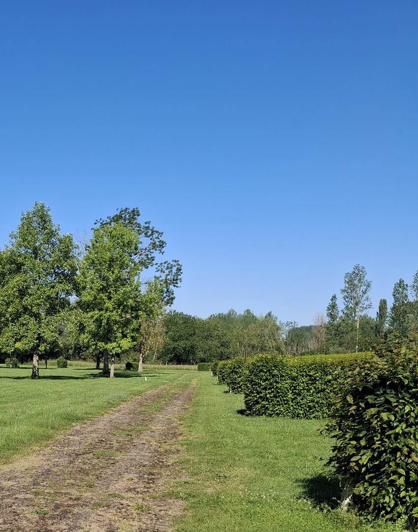 Camping de Ribemont
