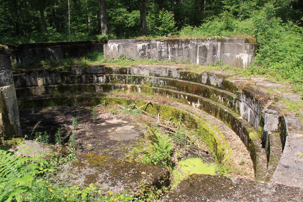 Canon de Coucy-le-Château-Auffrique-38294