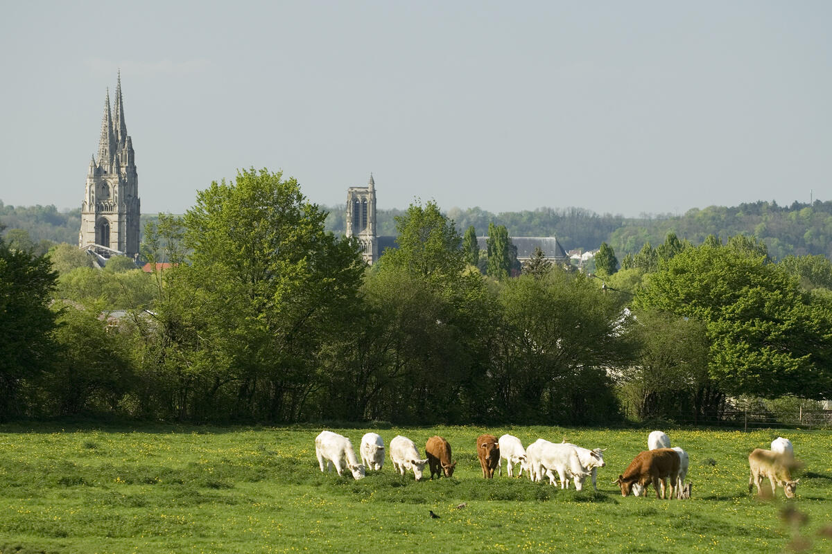 Vue sur Soissons