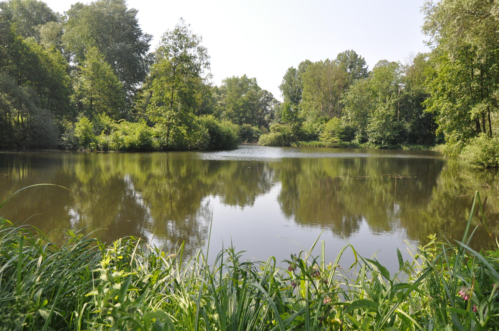 marais_samara_otns