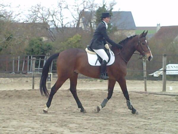 Les Ecuries de la Futaie < Audigny < Aisne < Picardie