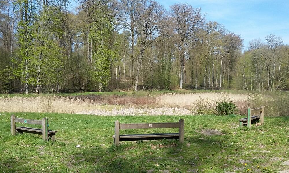 Etang de Malva - foret de Retz