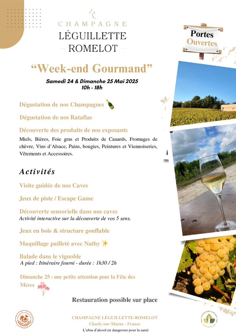 Flyer-JPO