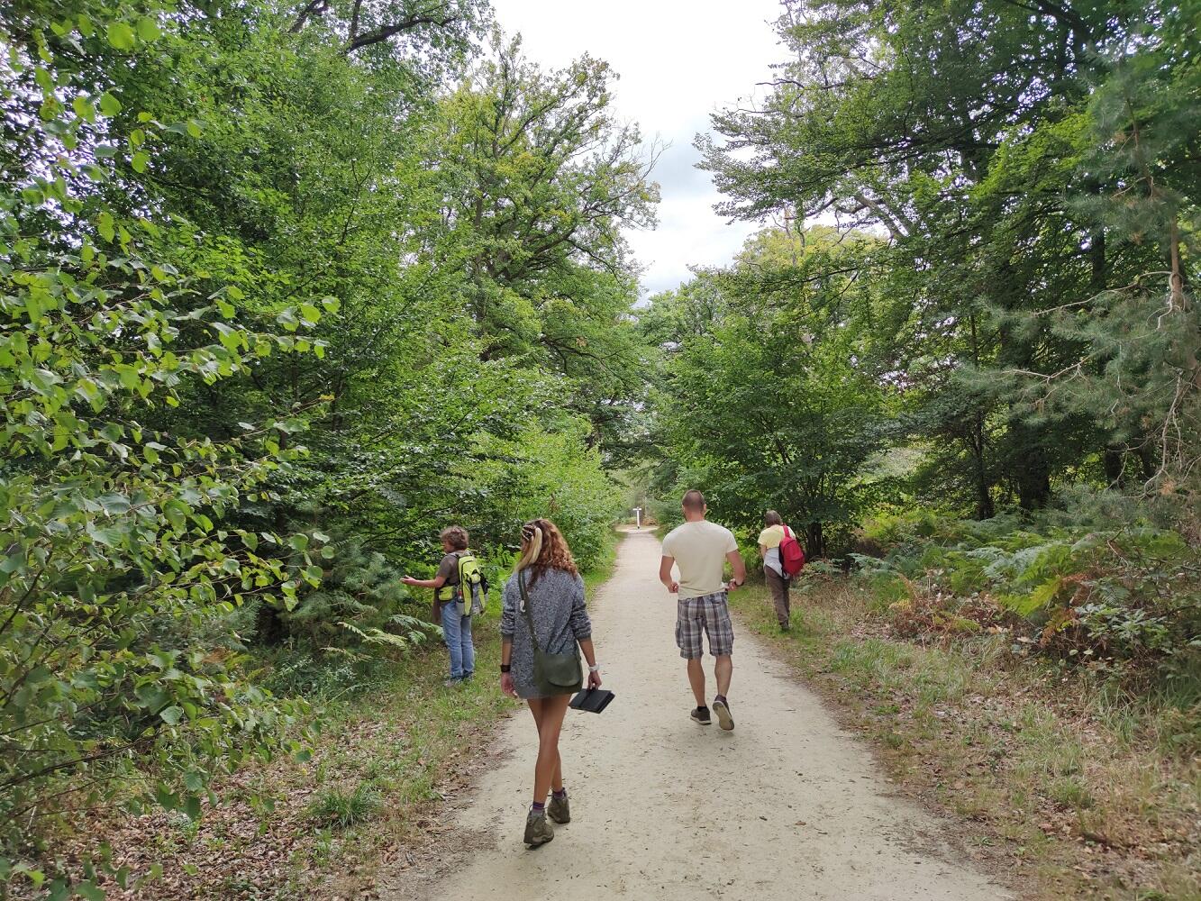 Bain de forêt