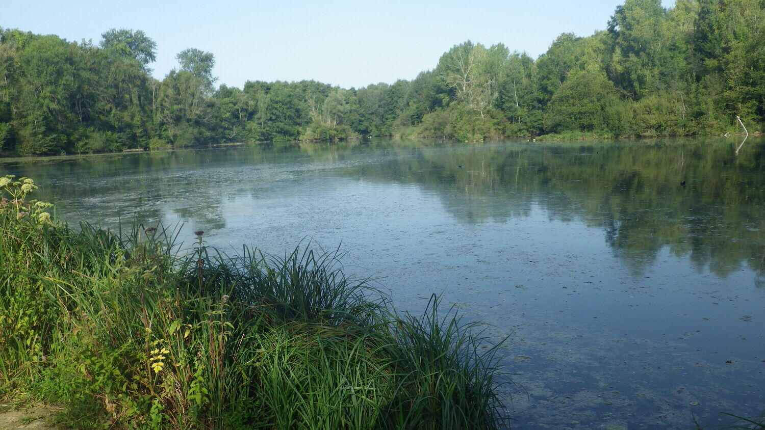 Etang de Lavilletertre