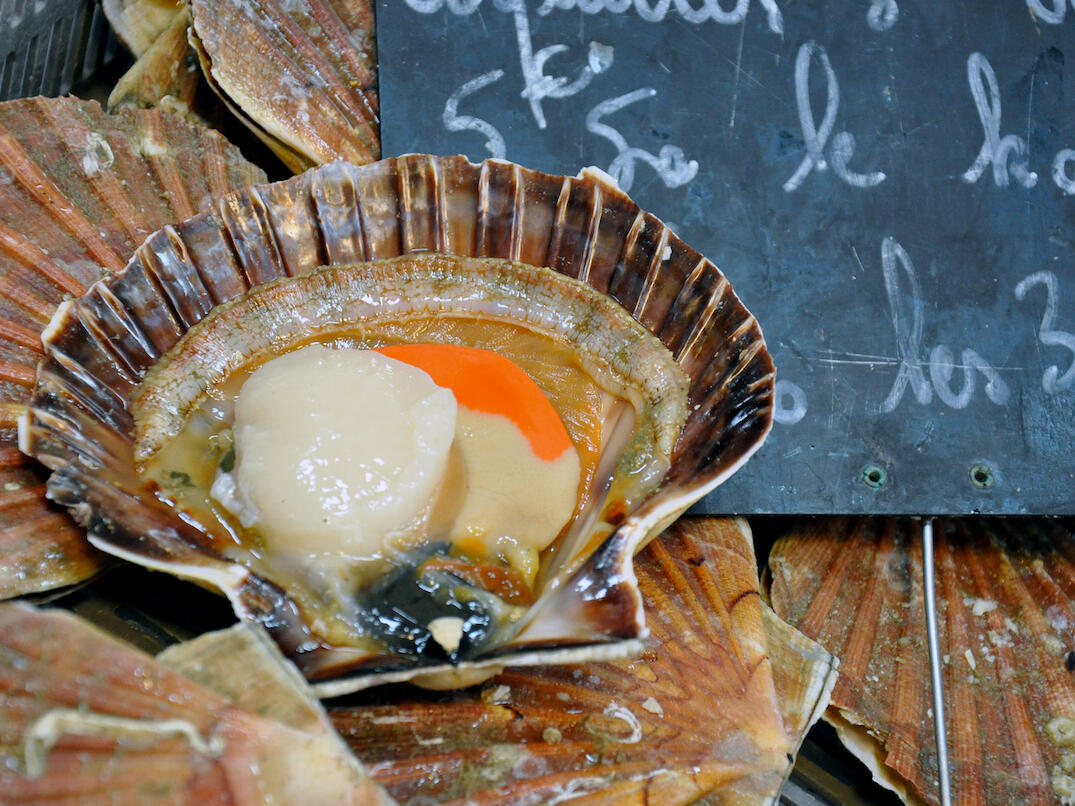 Marche-jane-trouve-3