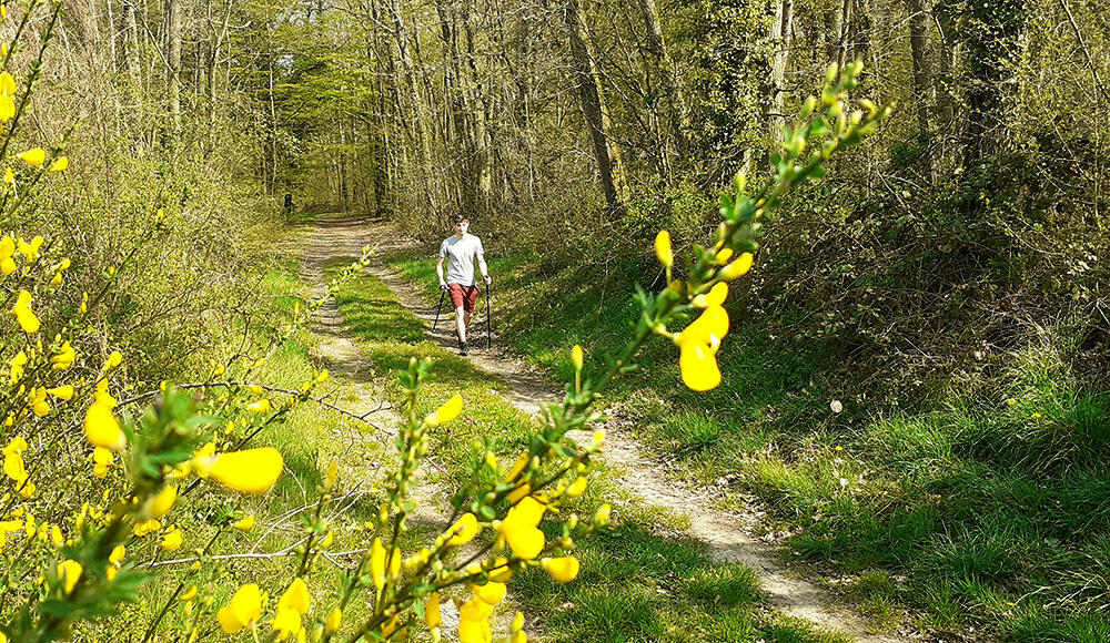 Marche nordique < Laon < Aisne < Picardie