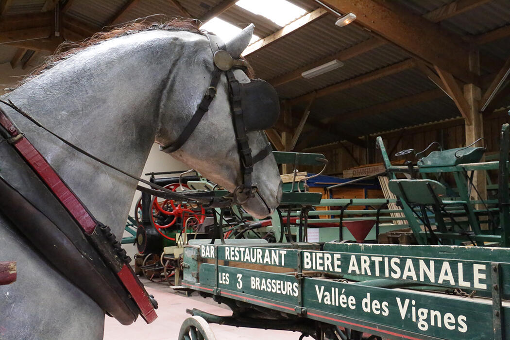 Musee-cheval2-2