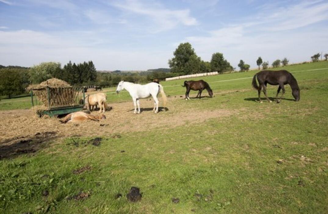 PCUPIC080V504BTB_musée_poney_ext_milly_somme_picardie © Paradis Konyka
