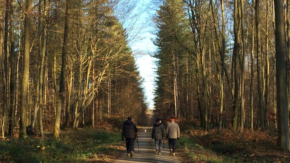 Randonnee en foret de Retz © OT Retz-en-Valois (4)