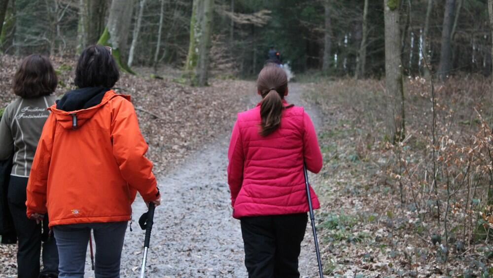 Randonnee en foret de Retz © OT Retz-en-Valois (2)