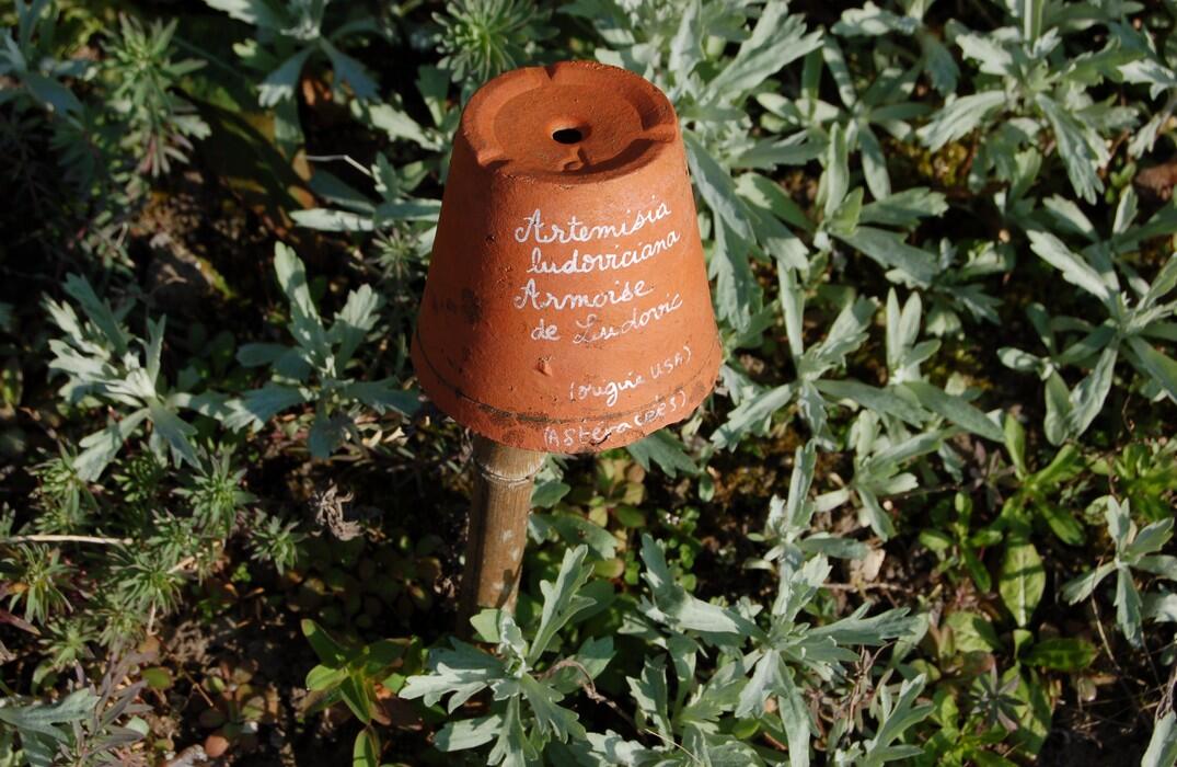 LES JARDINS DE LA BAIE DE SOMME : HERBARIUM, FRUTICETUM, RUES FLEURIES