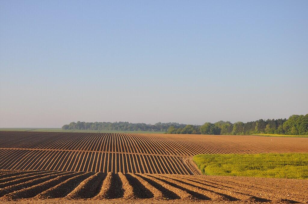 Plateau du Soissonnais