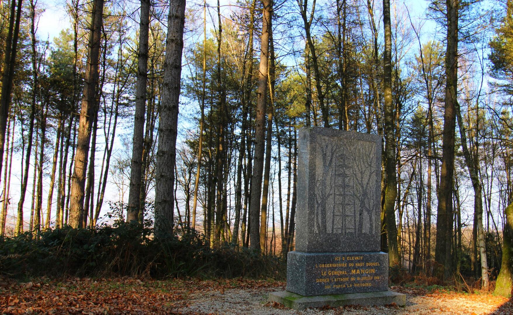 Stele Mangin en foret de Retz