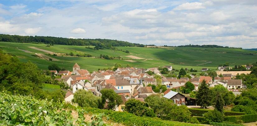 Vignobles Aisne©Hauts-de-France Tourisme_Vincent Colin