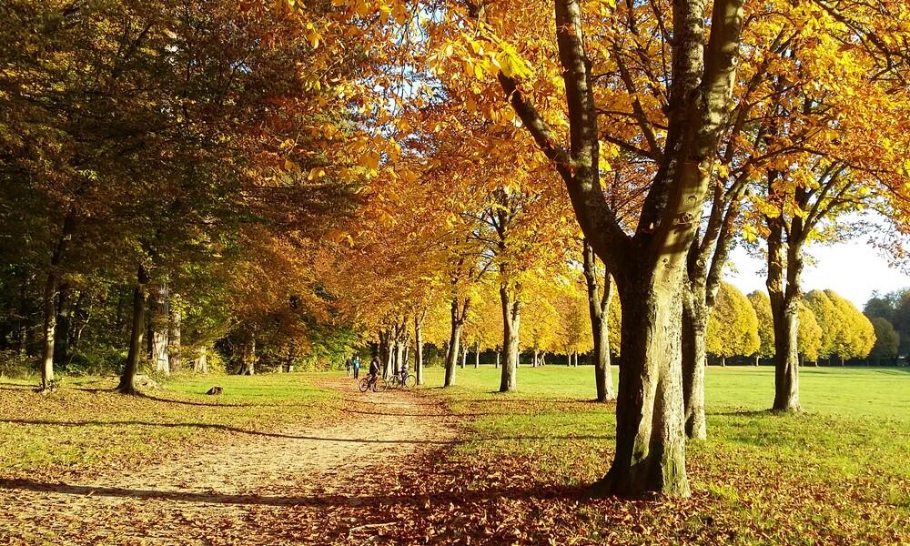 Parc du chateau de Villers-Cotterets à l'automne