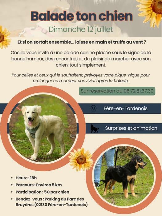 balade ton chien