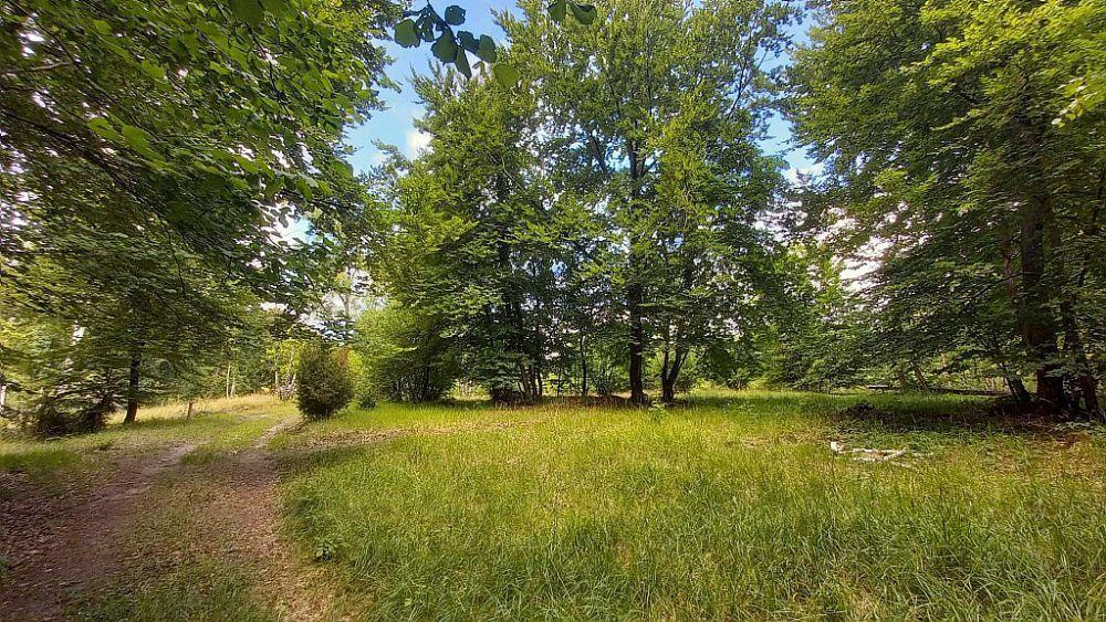 La Gouverne malade