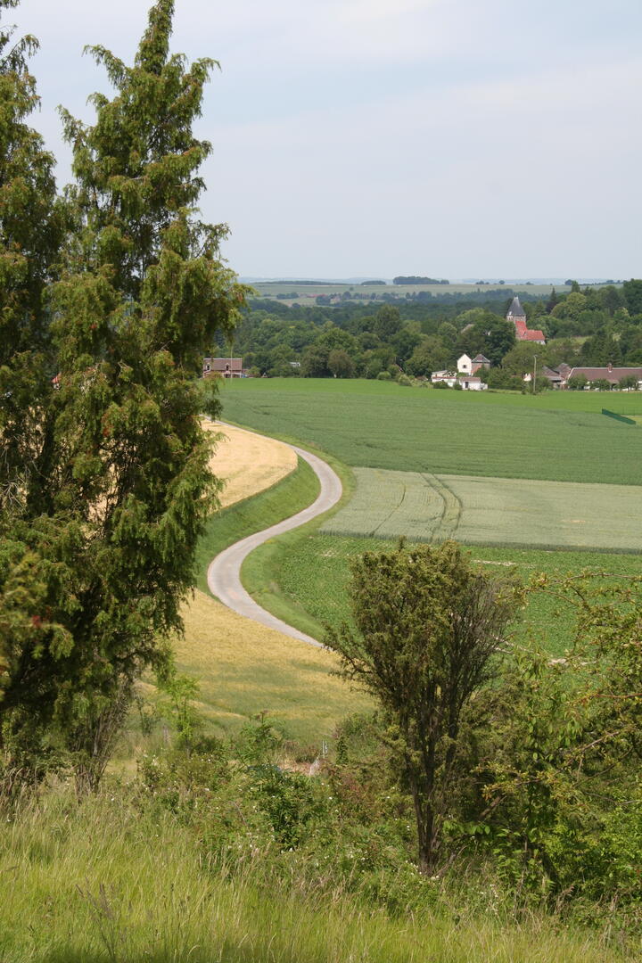 Le Mont Florentin