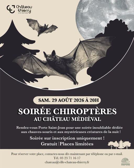 chiroptère