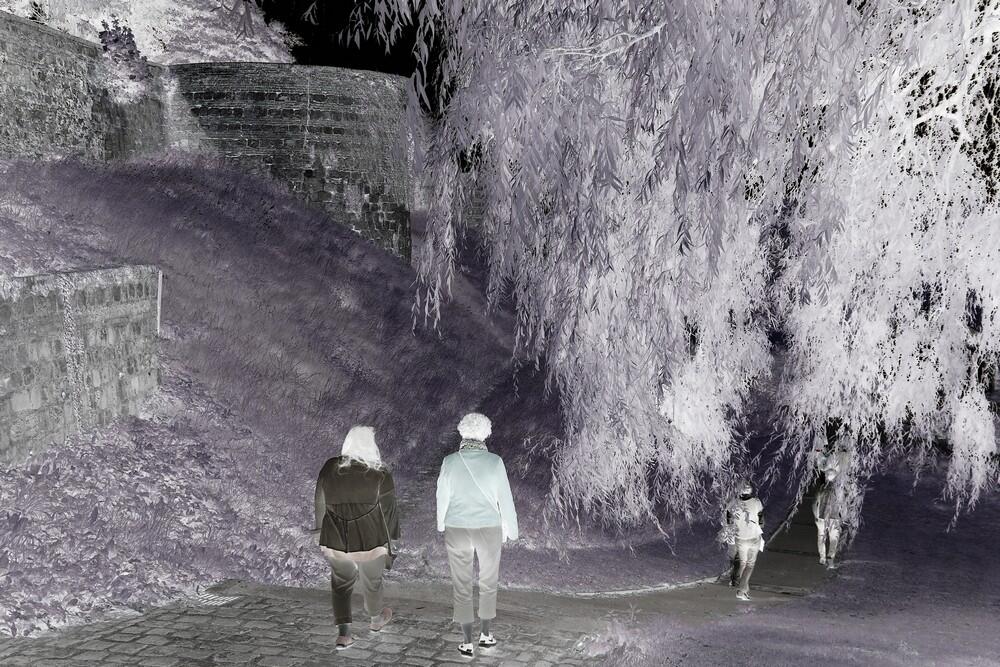 Course Nocturne < Vervins < Thiérache < Aisne < Hauts de France