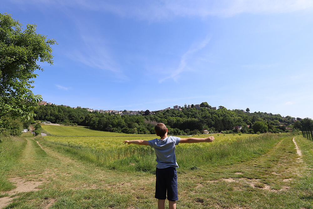 Cuve Saint-Vincent 2020 < Laon < Aisne < Picardie