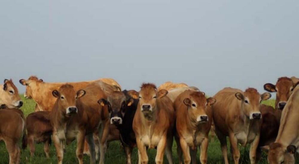 Earl-fosse-des-mathon < Autreppes < Thiérache < AIsne < Hauts-de-France