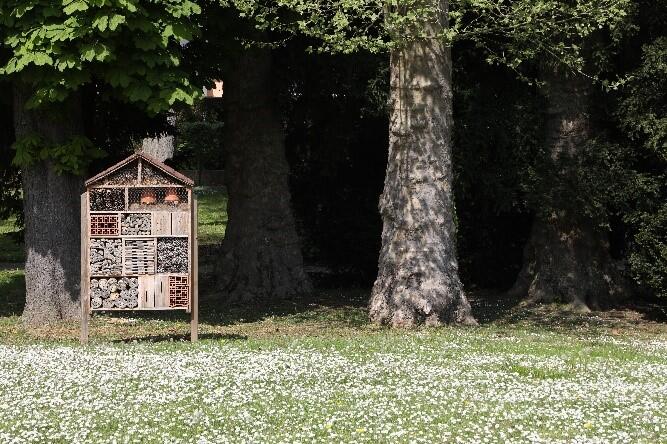 gîte à insectes