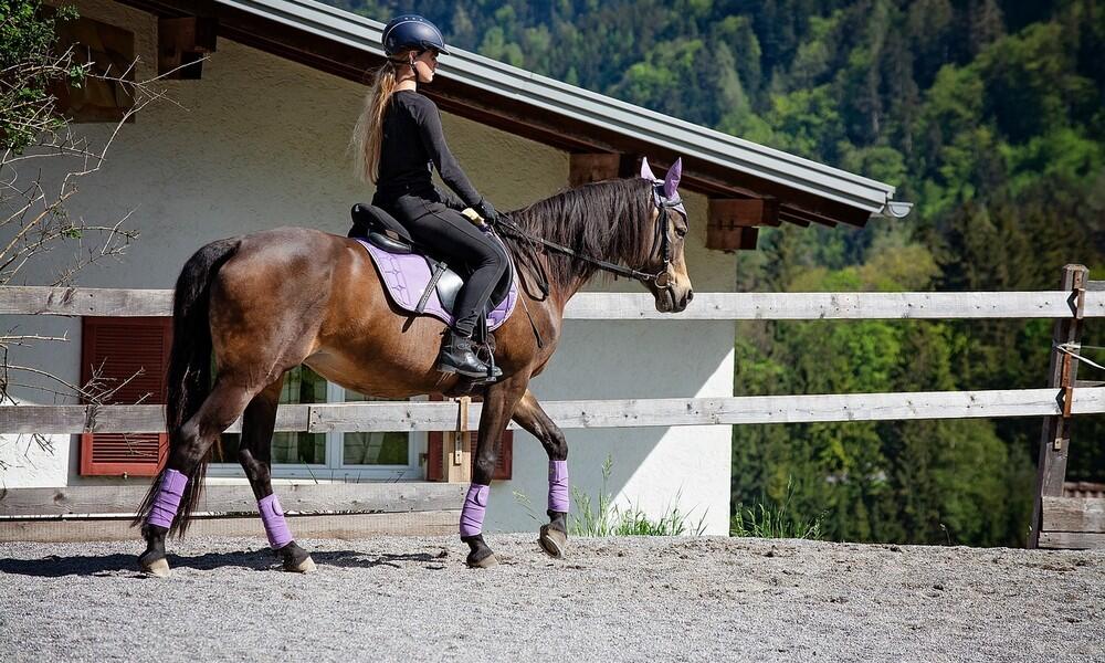 horse©Pezibeau by Pixabay
