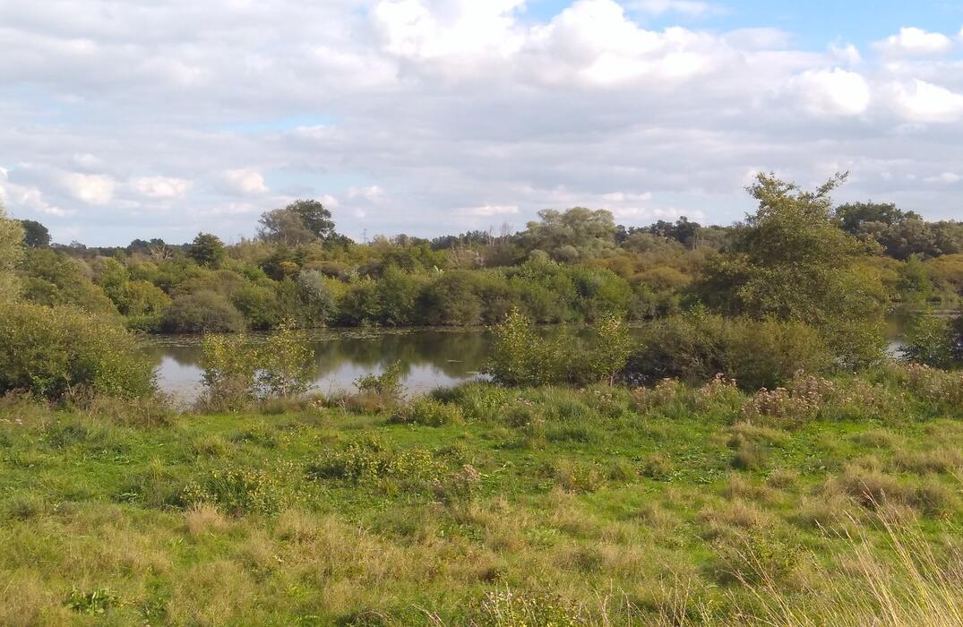 marais-tirancourt