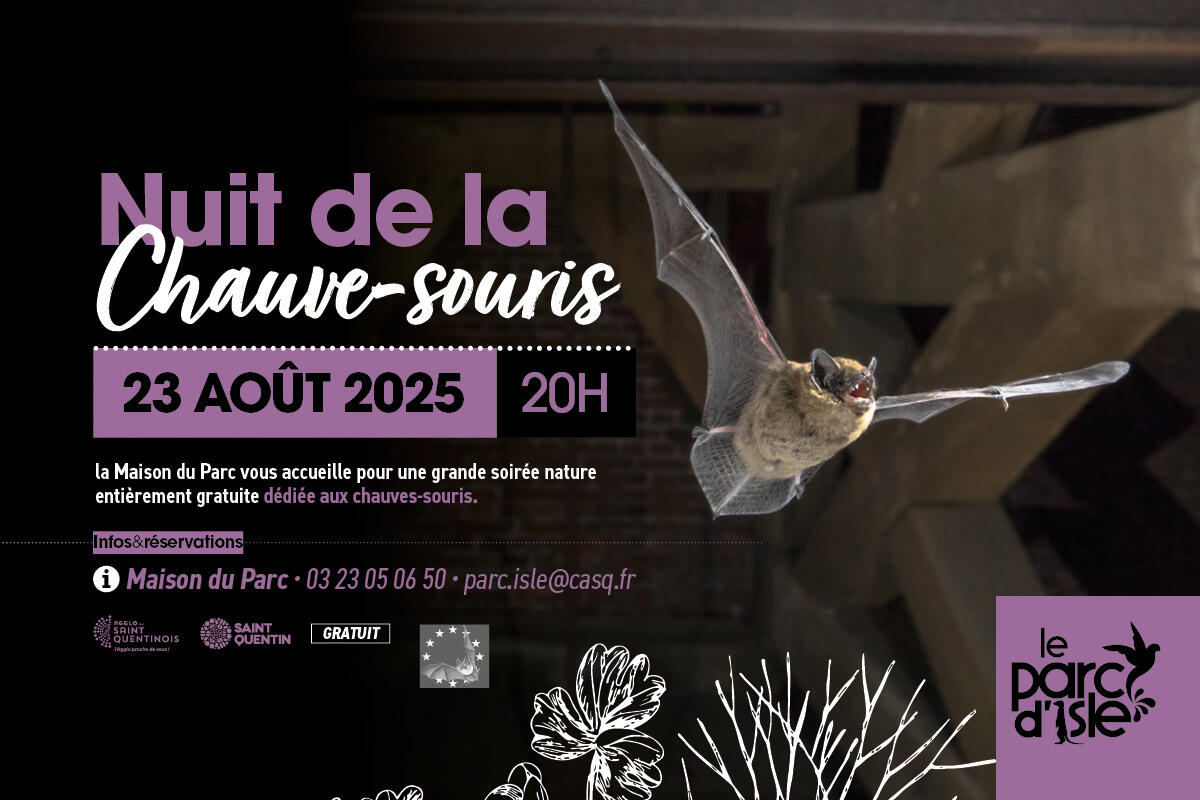 nuit-chauve-souris-aout-2025-1200 x 800-site-agglo