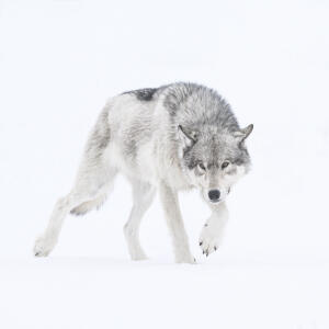 photo_3_-_dorota_et_bruno_senechal_2026