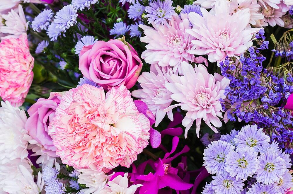 Flower backgrounds