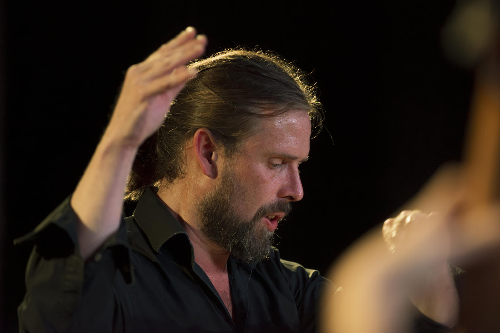 spilmont_c_lionel_audinet - Festival JDLF