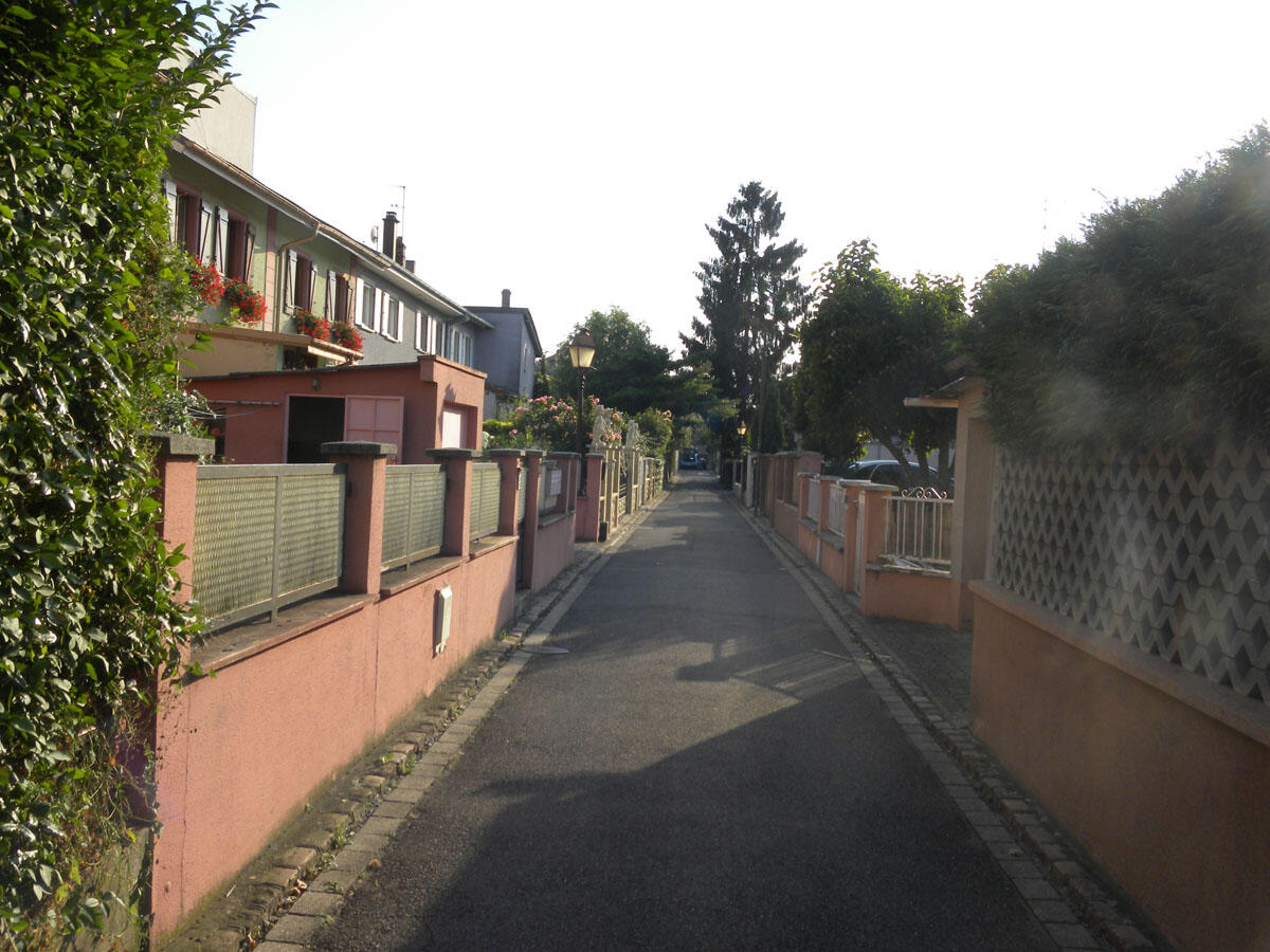 img-name-mising