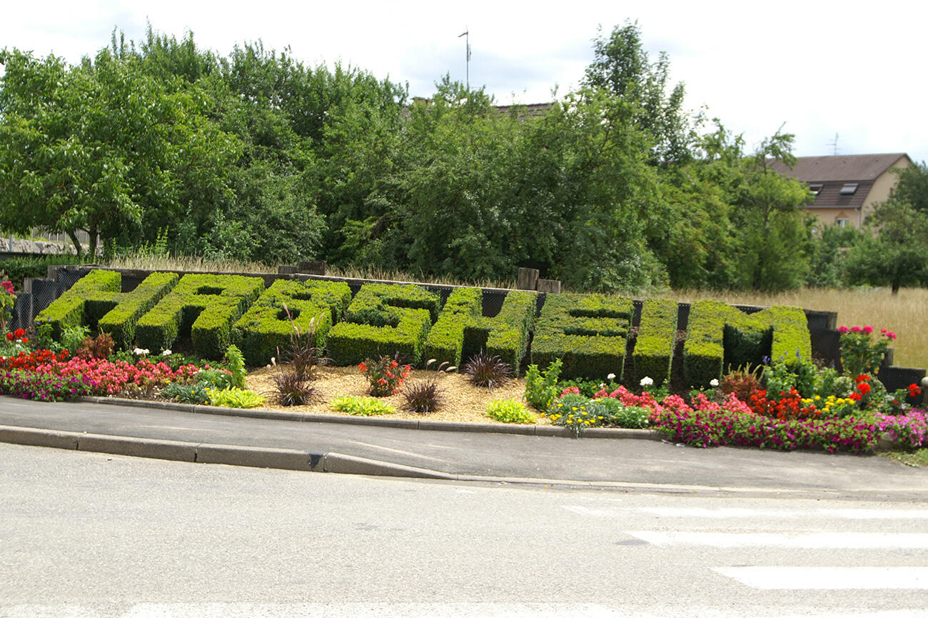 img-name-mising