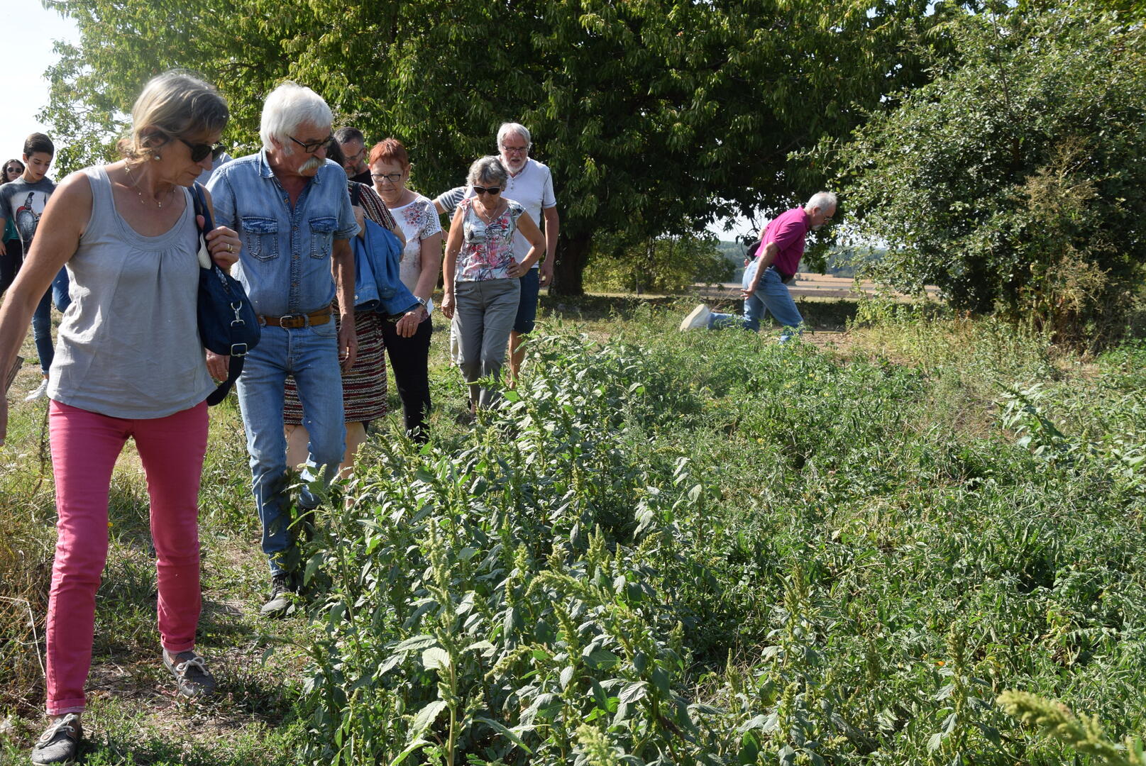 01_2018 09 01 Frontenay Le voyage de la tomate (27)
