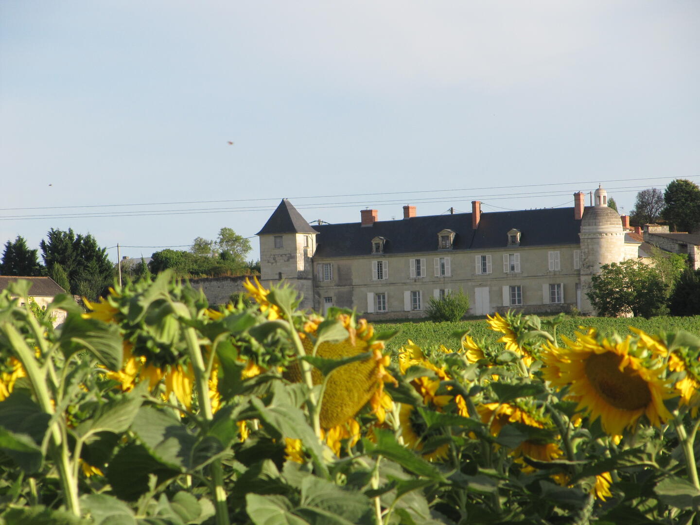 06-Château de la Rouvraye_Saint-léger-de-Montbrillais_7 août