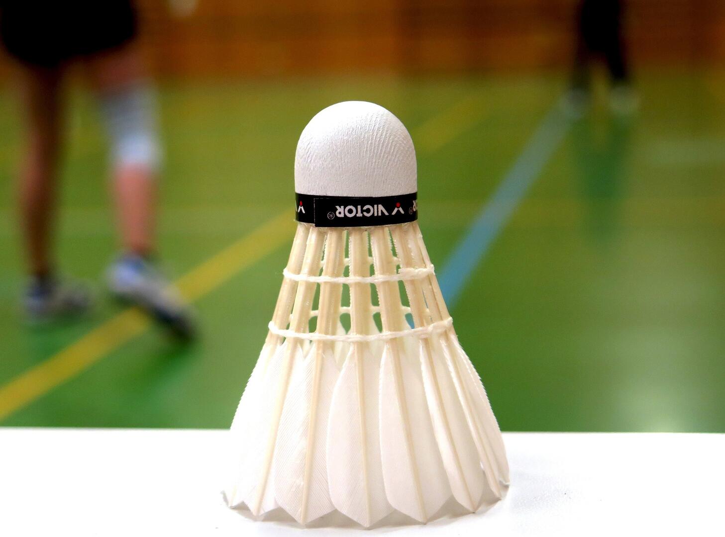 Championnat departemental Babminton_1