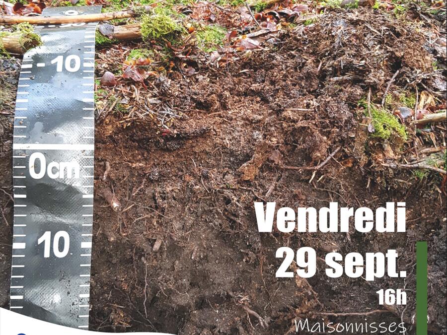 La vie des sols forestiers