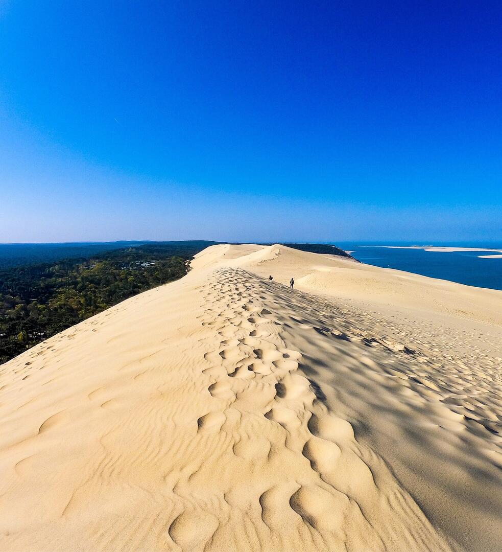 21 - 19 OCTOBRE BALADE SANTE DUNE DU PYLA