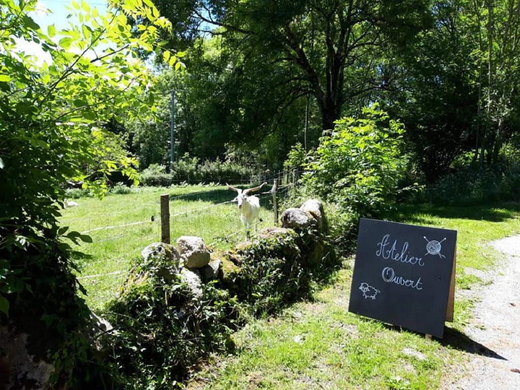 Atelier filage de laine_1