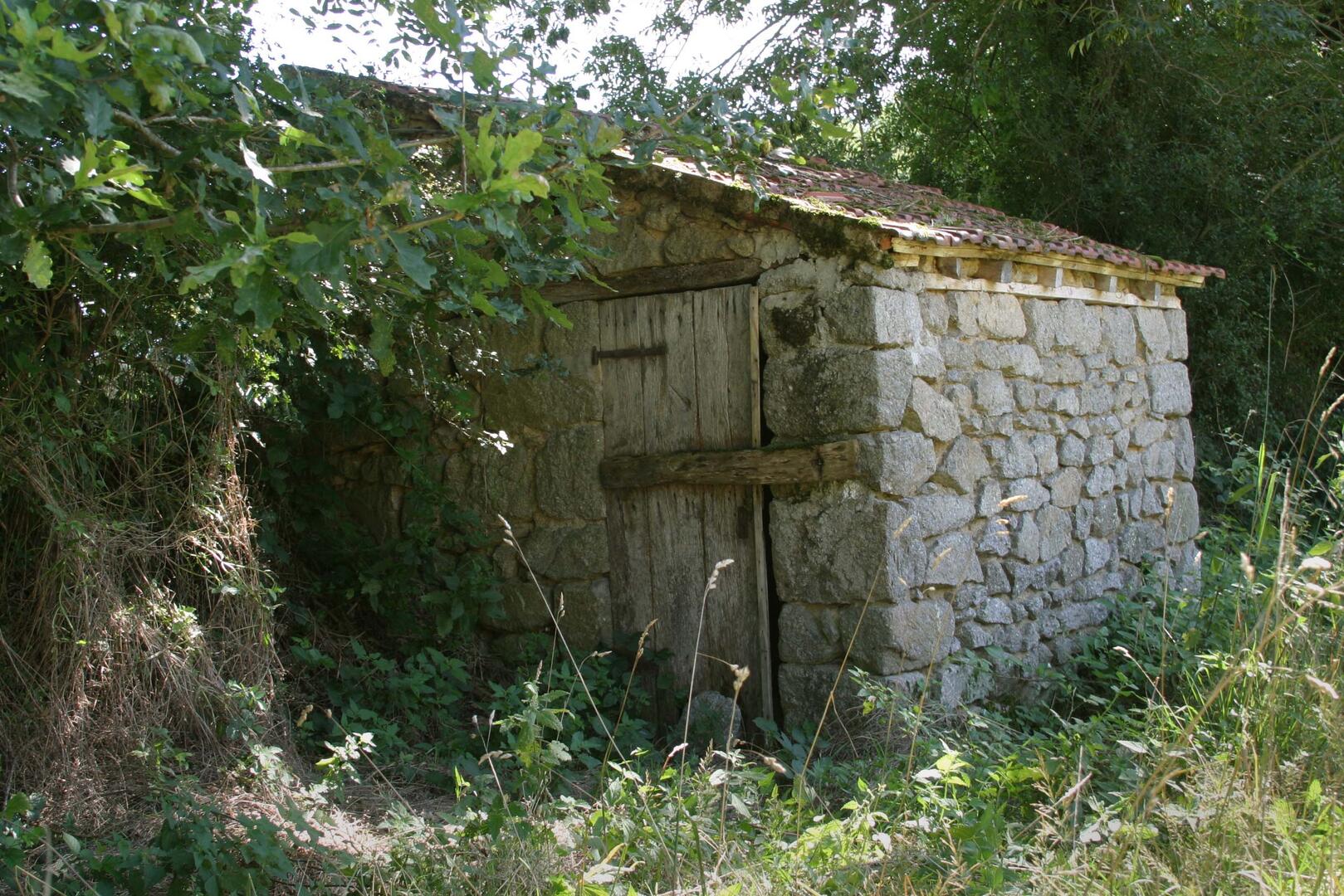 Peyrat la Nonière - Poulailler_1