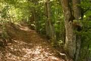 Circuit VTT Jean Petit_1