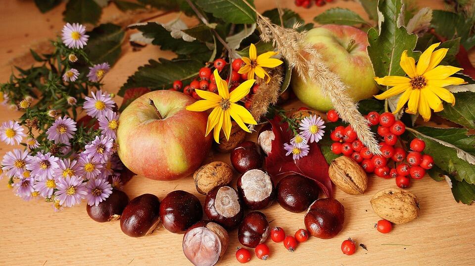 Pommes fleuries_1