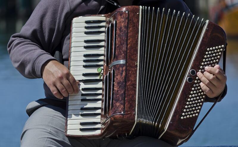 29 - ACCORDEON