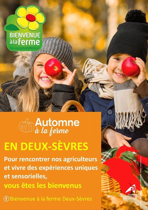 Automne à la ferme