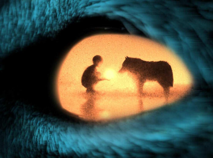 Compagnie L'Oeil du Loup_1