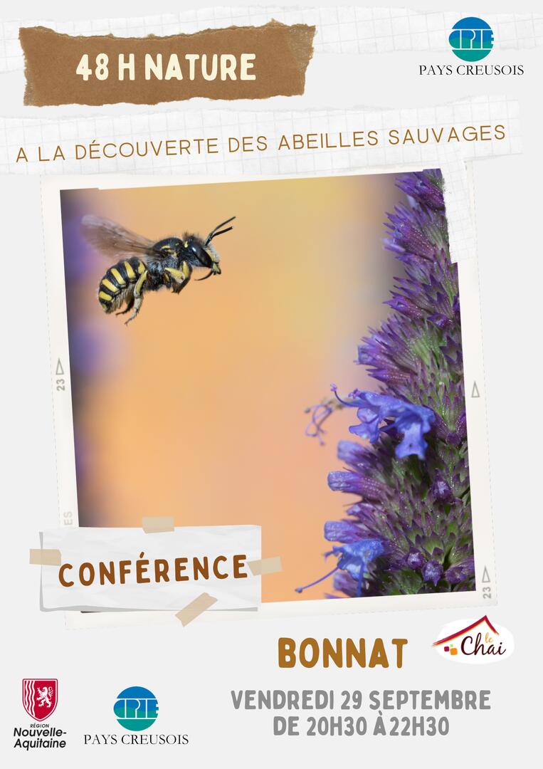 48h Nature_Conf_AbeillesSauvages_Bonnat - 1