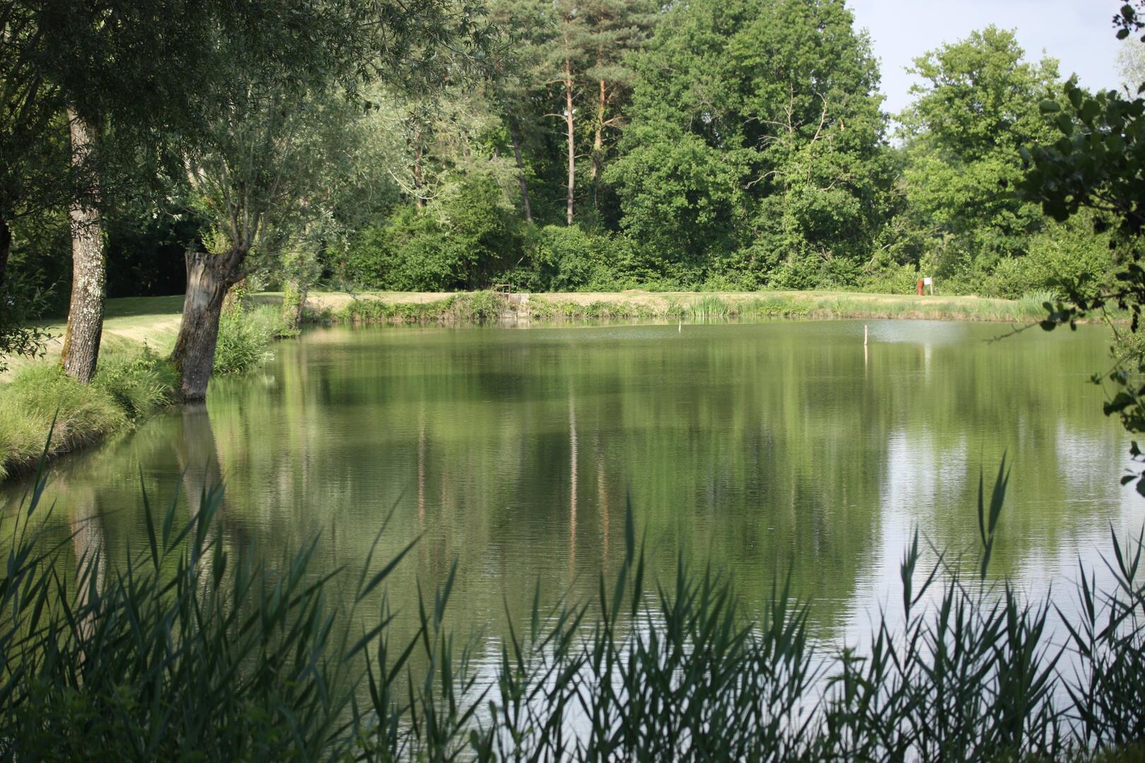 Etang d'Arbonneau_Ceaux-en-Loudun